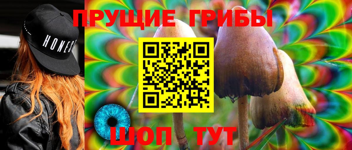 Псилоцибиновые грибы Cubensis  Вход с VPN  Печора 
