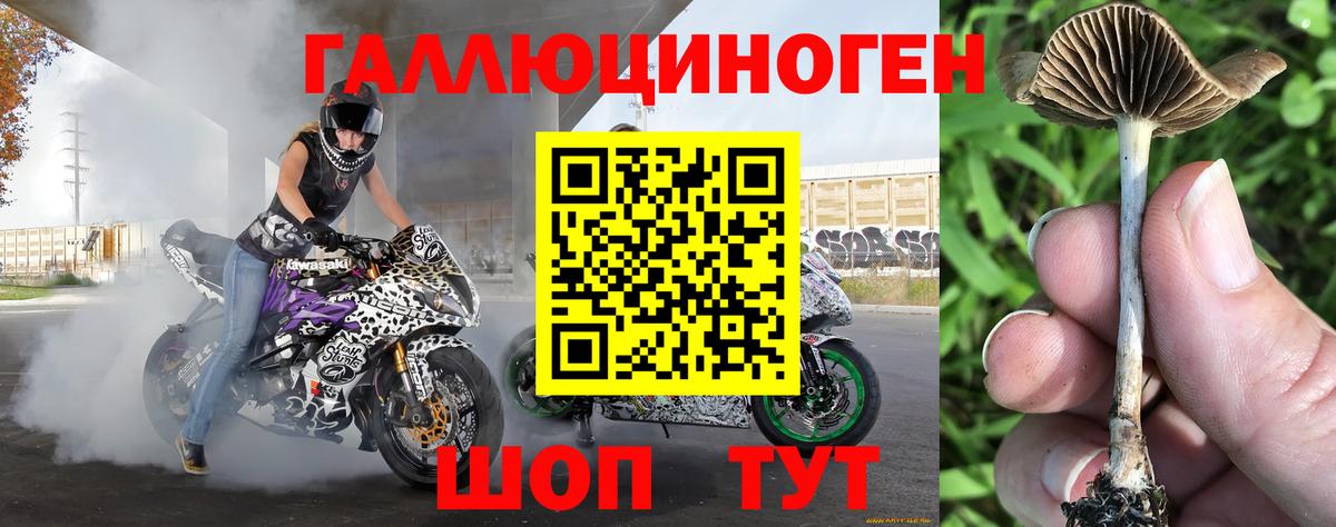 Галлюциногенные грибы мухоморы Печора